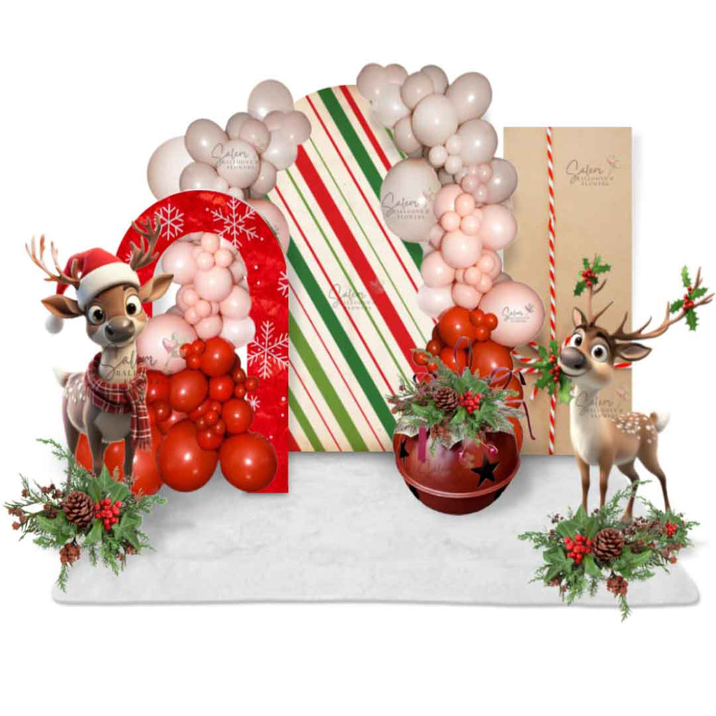 Balloon Decor -CHRISTMAS-