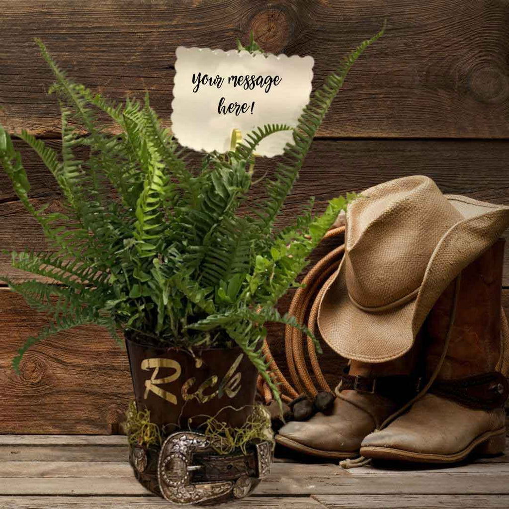 A western background with a Fern plant in a buckle shaped vase The ideal gift your western enthusiast. Salem Oregon flower delivery.